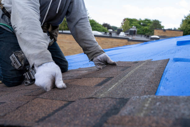 Sealant for Roof in Trent Woods, NC